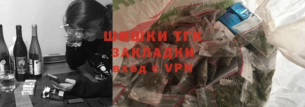 PSILOCYBIN Горняк