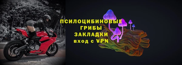 PSILOCYBIN Горняк