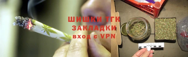 PSILOCYBIN Горняк