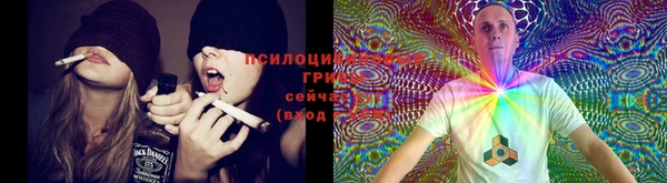 бошки Горно-Алтайск